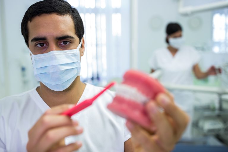 Dentist cleaning dental jaw model with a toothbrush in the clinic